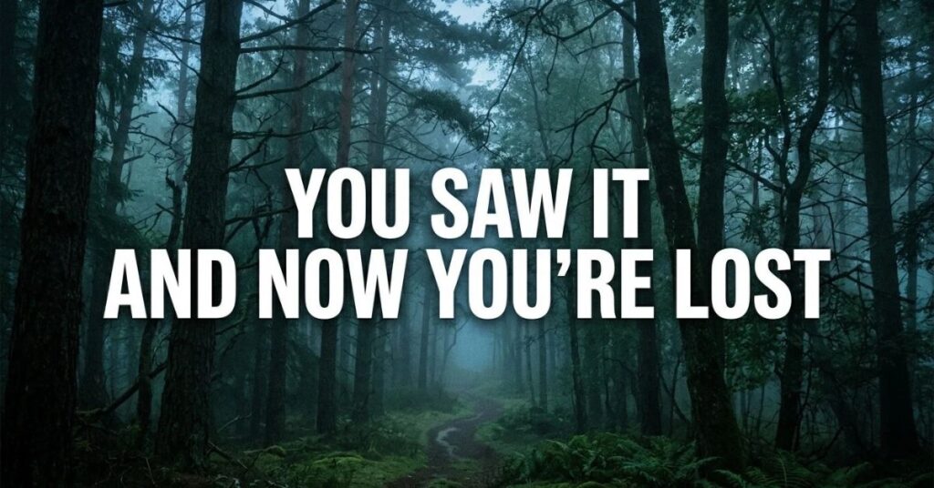You Saw It and Now You’re Lost
